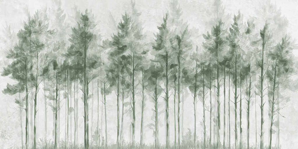 Groupe d'arbres dans une forêt Groupe d'arbres dans une forêt