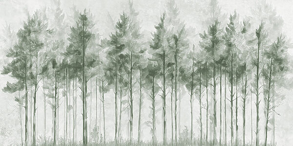 Groupe d'arbres dans une forêt Groupe d'arbres dans une forêt