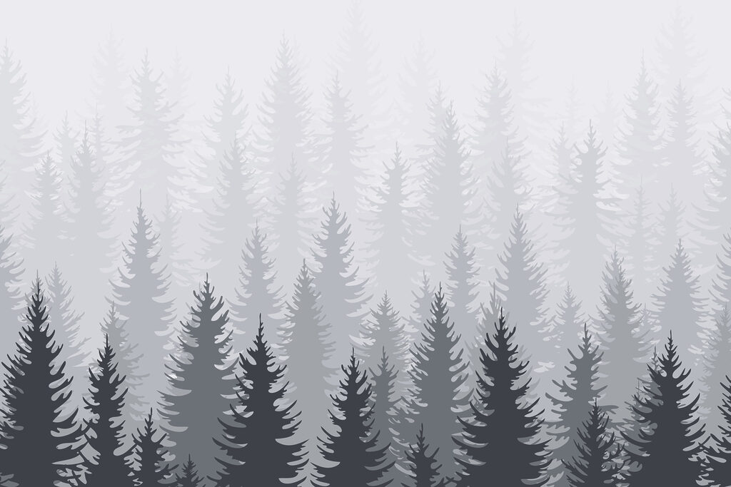 Groupe d'arbres dans une forêt Groupe d'arbres dans une forêt