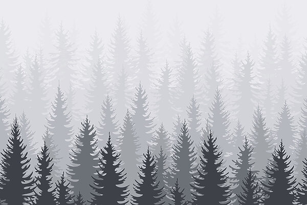 Groupe d'arbres dans une forêt Groupe d'arbres dans une forêt
