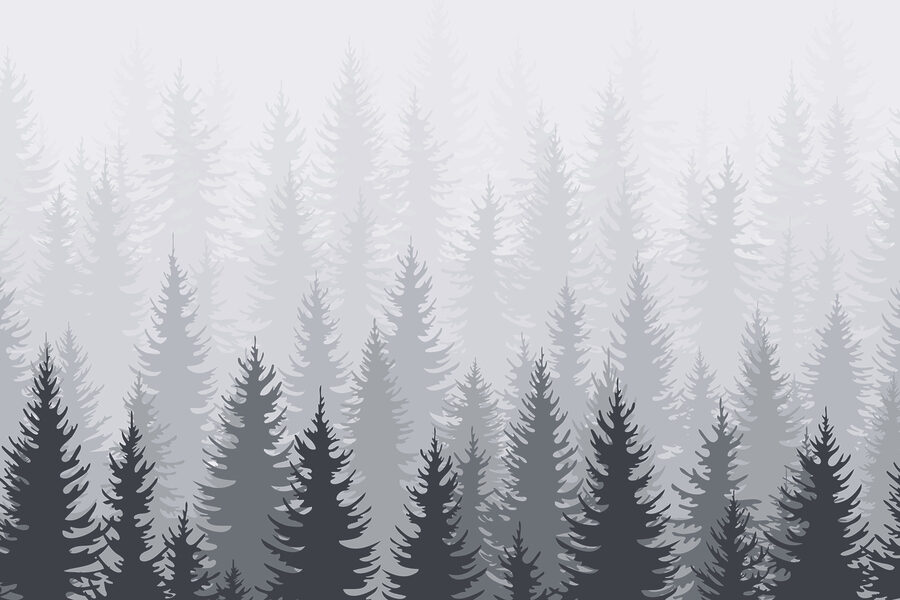 Groupe d'arbres dans une forêt