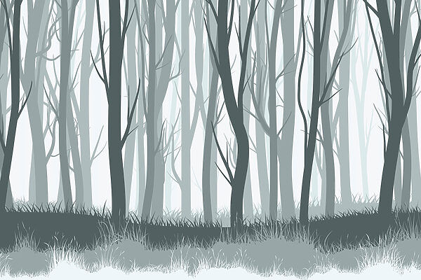 Groupe d'arbres dans une forêt Groupe d'arbres dans une forêt