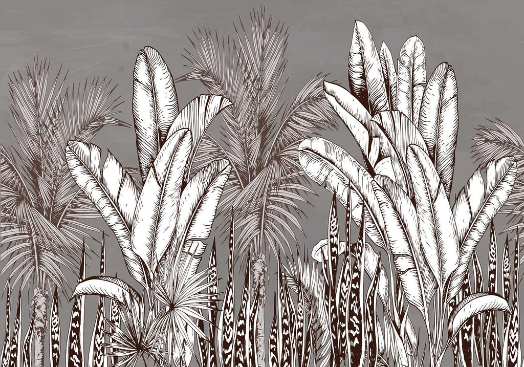 Groupe de plantes avec des feuilles différentes Groupe de plantes avec des feuilles différentes