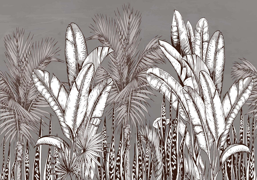 Groupe de plantes avec des feuilles différentes