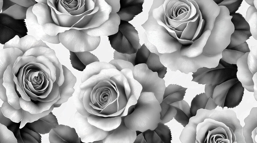 Groupe de roses avec feuilles
