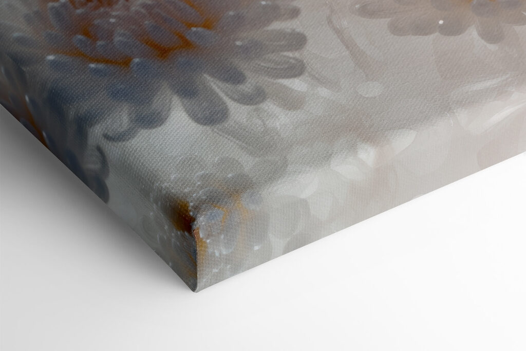 Group of white flowers