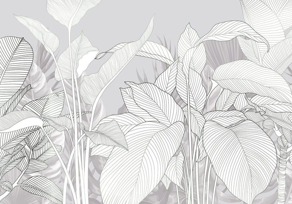 Lignes élégantes de la beauté de la nature Lignes élégantes de la beauté de la nature