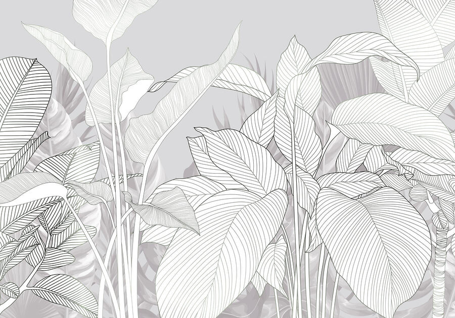 Lignes élégantes de la beauté de la nature