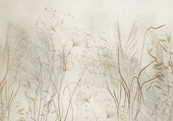 Illustration de la nature calme et sereine Illustration de la nature calme et sereine