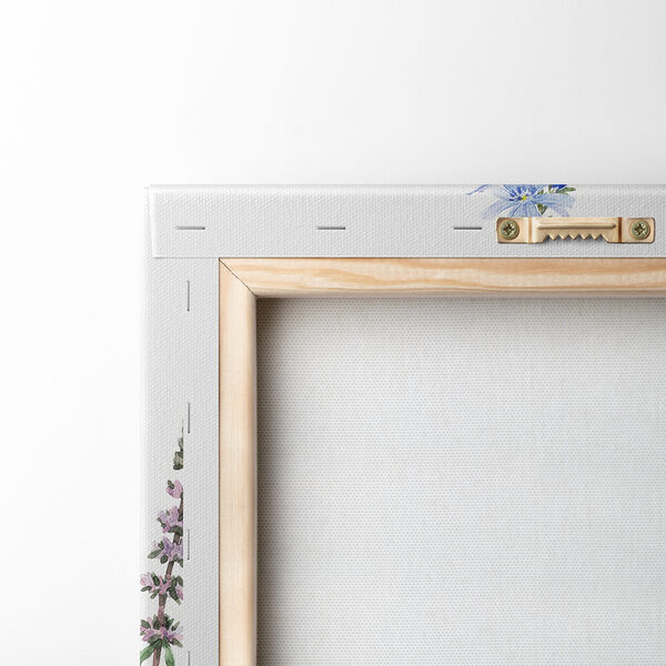 Groupe de fleurs sur fond blanc Groupe de fleurs sur fond blanc