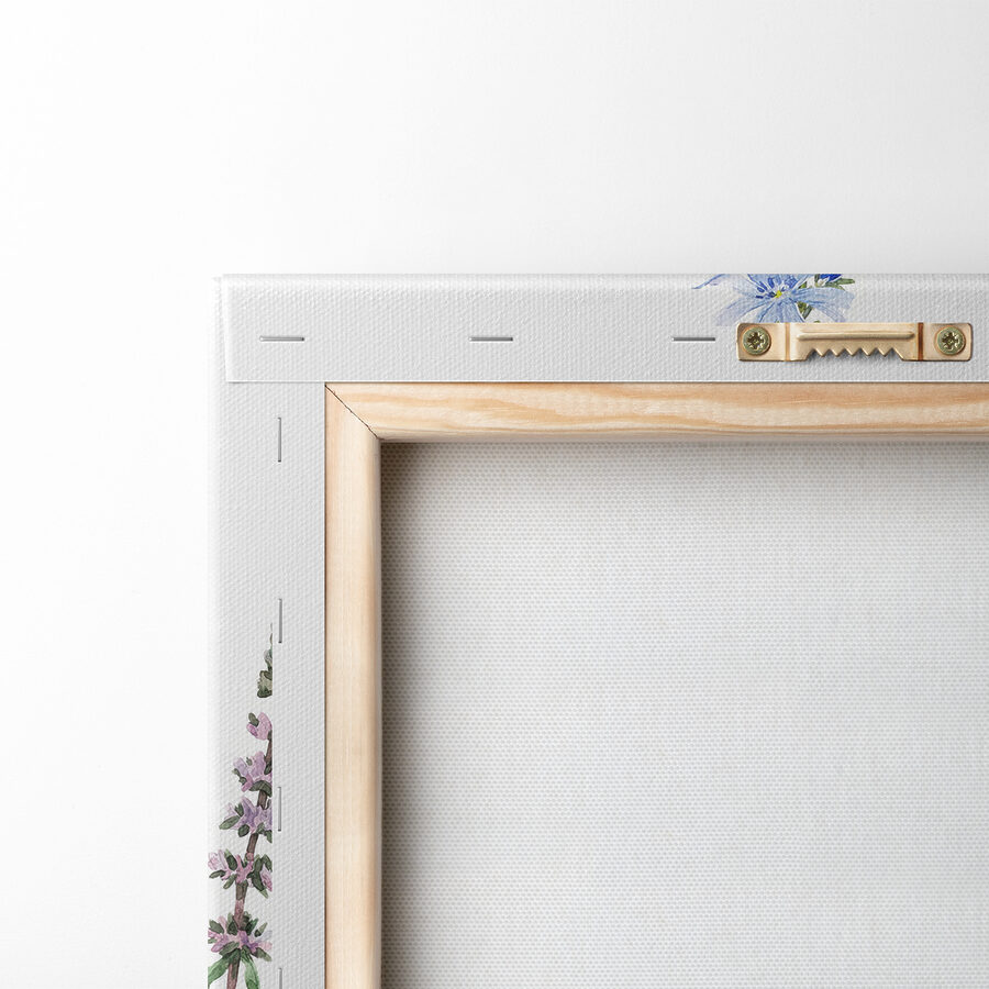 Groupe de fleurs sur fond blanc