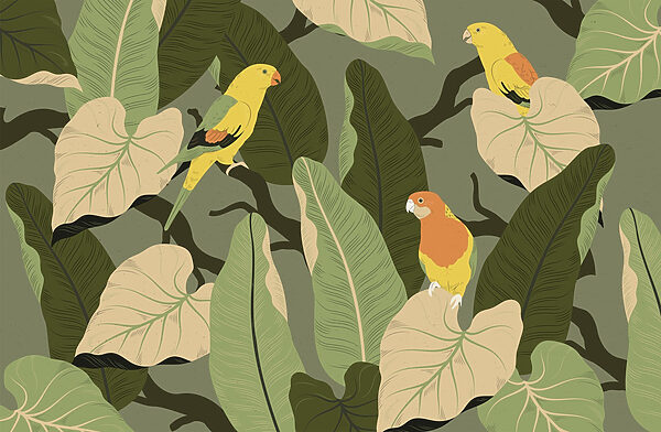 Oiseaux colorés sur une branche d'arbre Oiseaux colorés sur une branche d'arbre