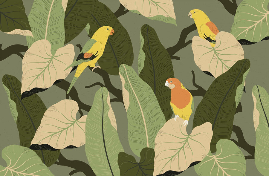 Oiseaux colorés sur une branche d'arbre Oiseaux colorés sur une branche d'arbre