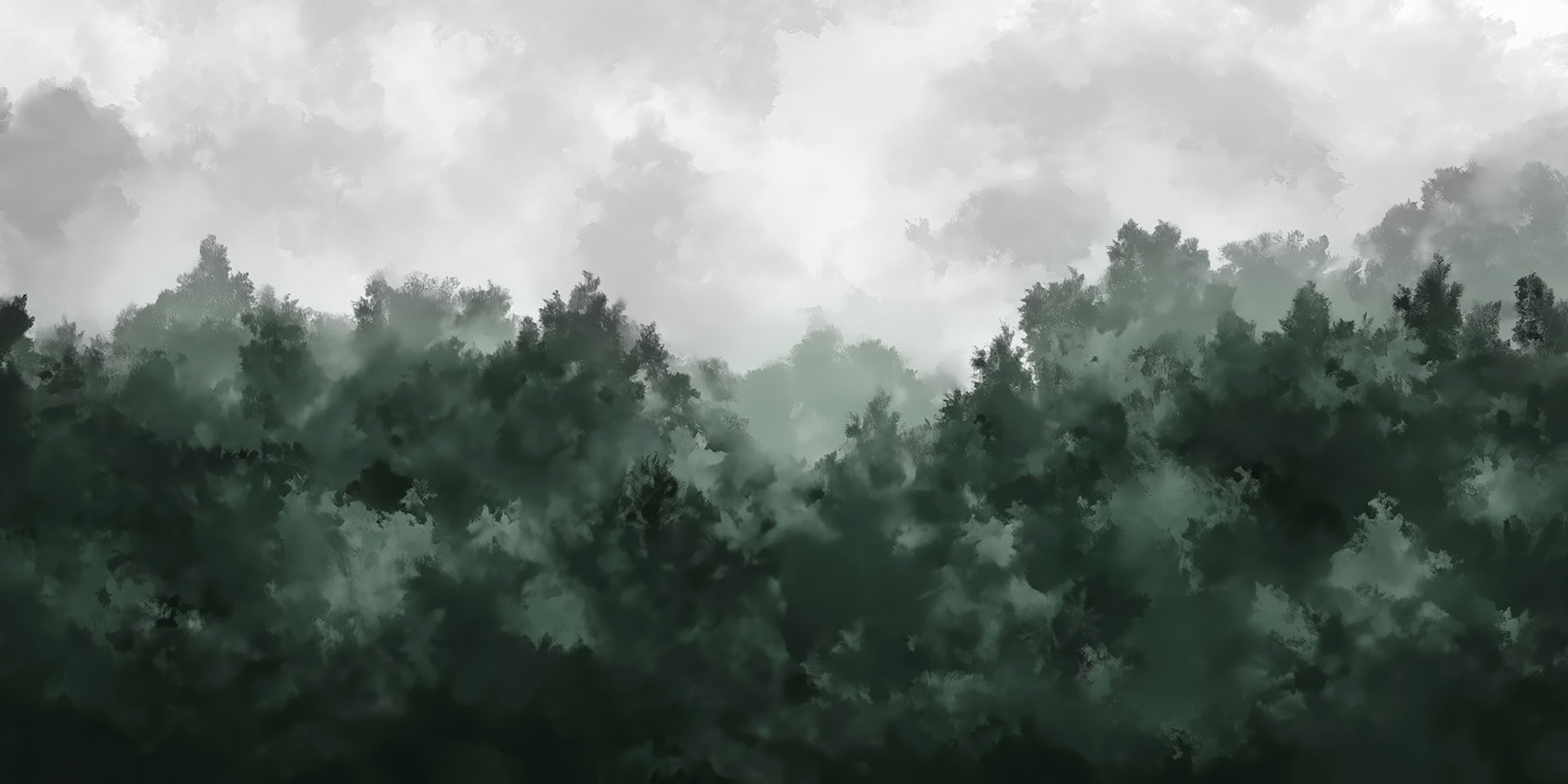 Foggy forest with trees Foggy forest with trees