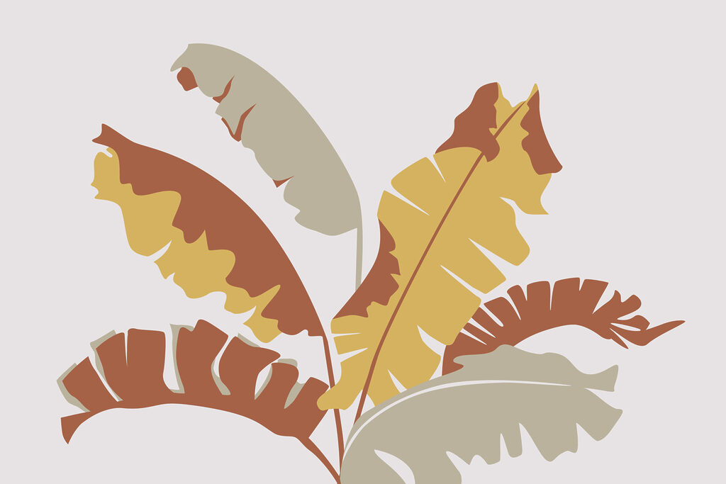 Plante avec des feuilles Plante avec des feuilles