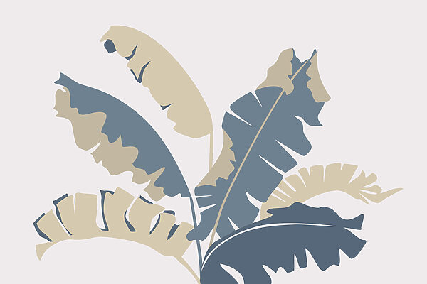 Plante avec des feuilles Plante avec des feuilles