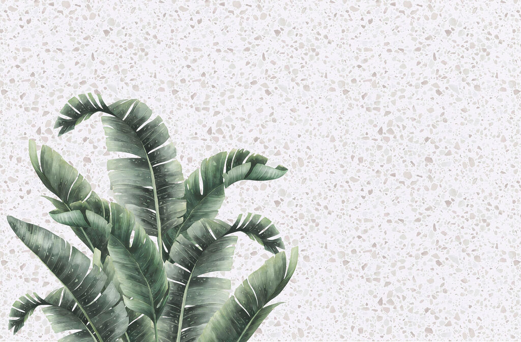 Plante avec des feuilles sur une surface blanche Plante avec des feuilles sur une surface blanche