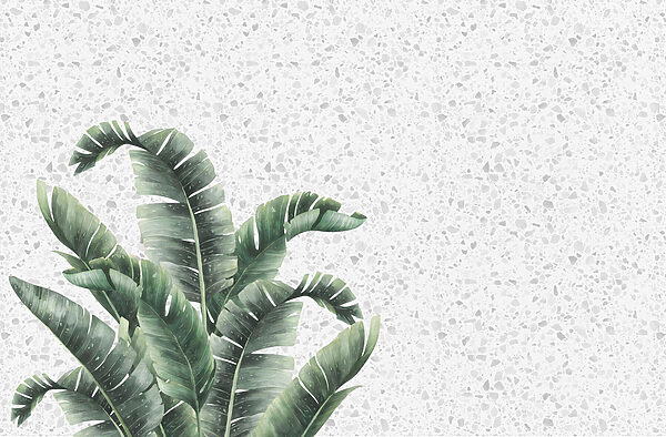 Plante avec des feuilles sur une surface blanche Plante avec des feuilles sur une surface blanche