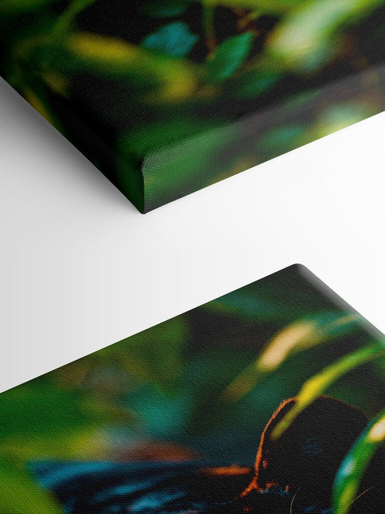 Black panther with green eyes