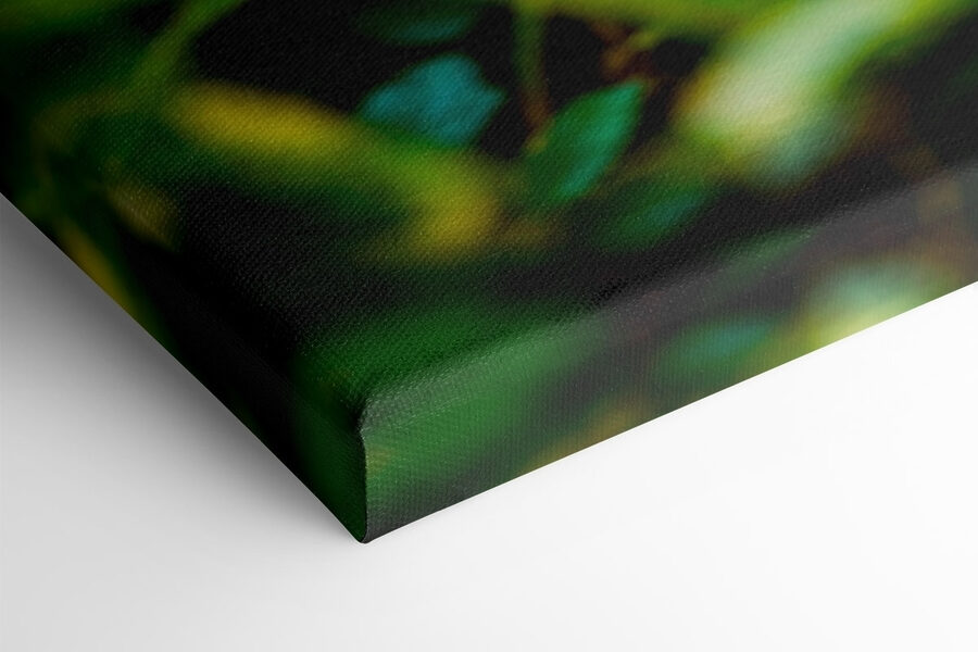Panthère noire aux yeux verts Panthère noire aux yeux verts