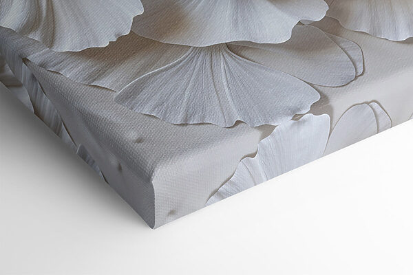 Groupe de feuilles blanches Groupe de feuilles blanches