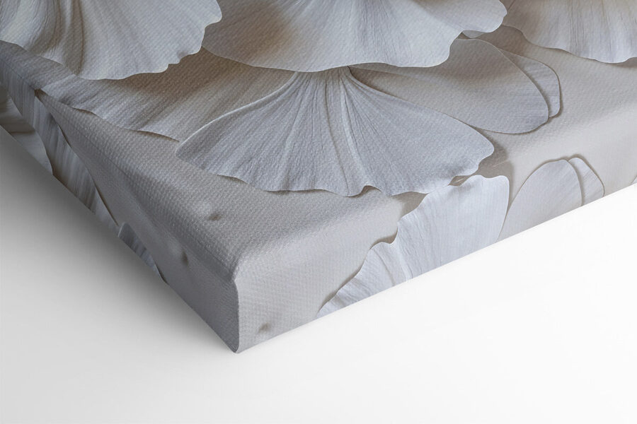 Groupe de feuilles blanches