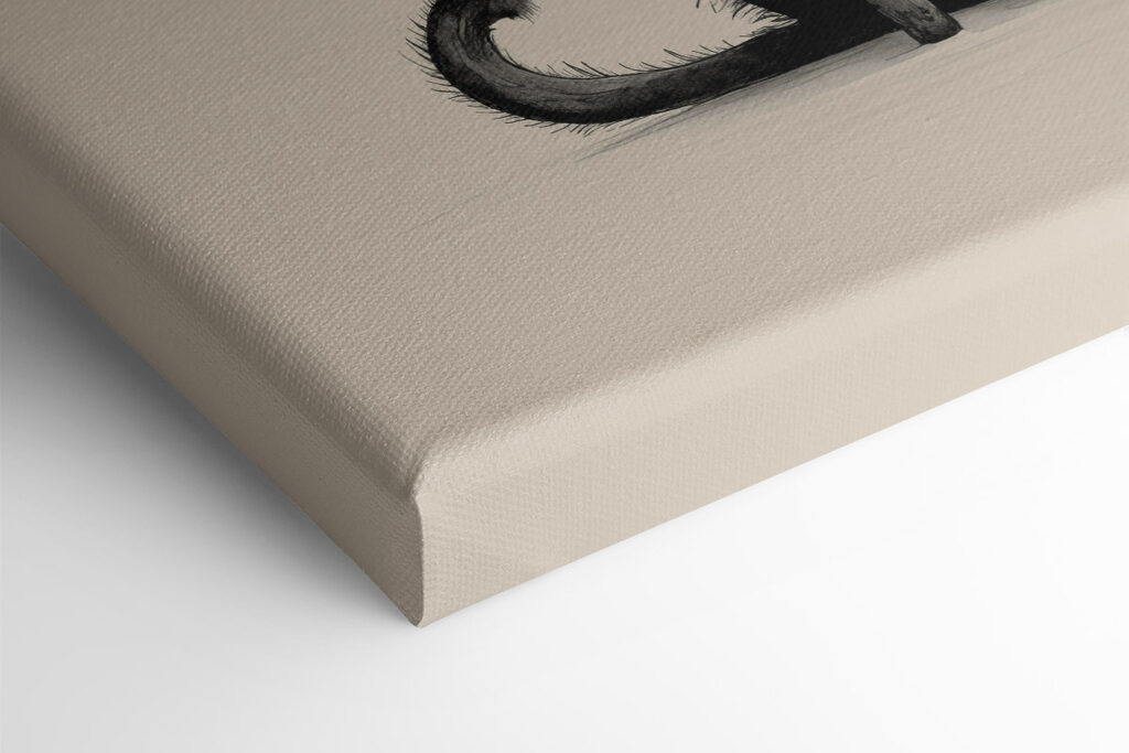 Black cat with big eyes