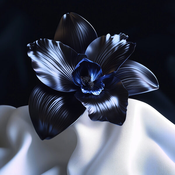 Fleur noire sur un tissu blanc Fleur noire sur un tissu blanc