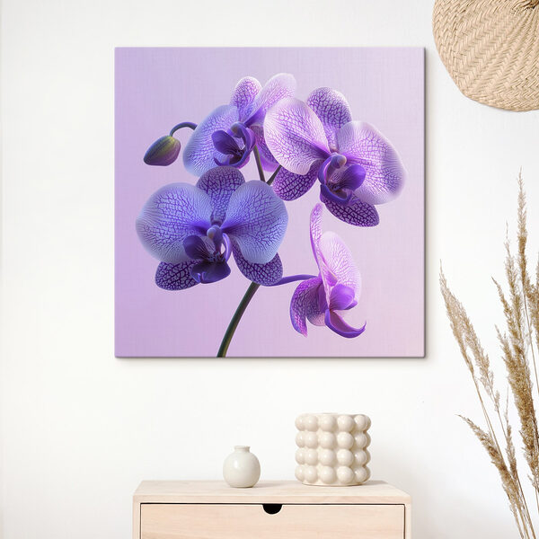 Fleur d'orchidée violette et blanche Fleur d'orchidée violette et blanche