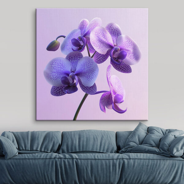 Fleur d'orchidée violette et blanche Fleur d'orchidée violette et blanche