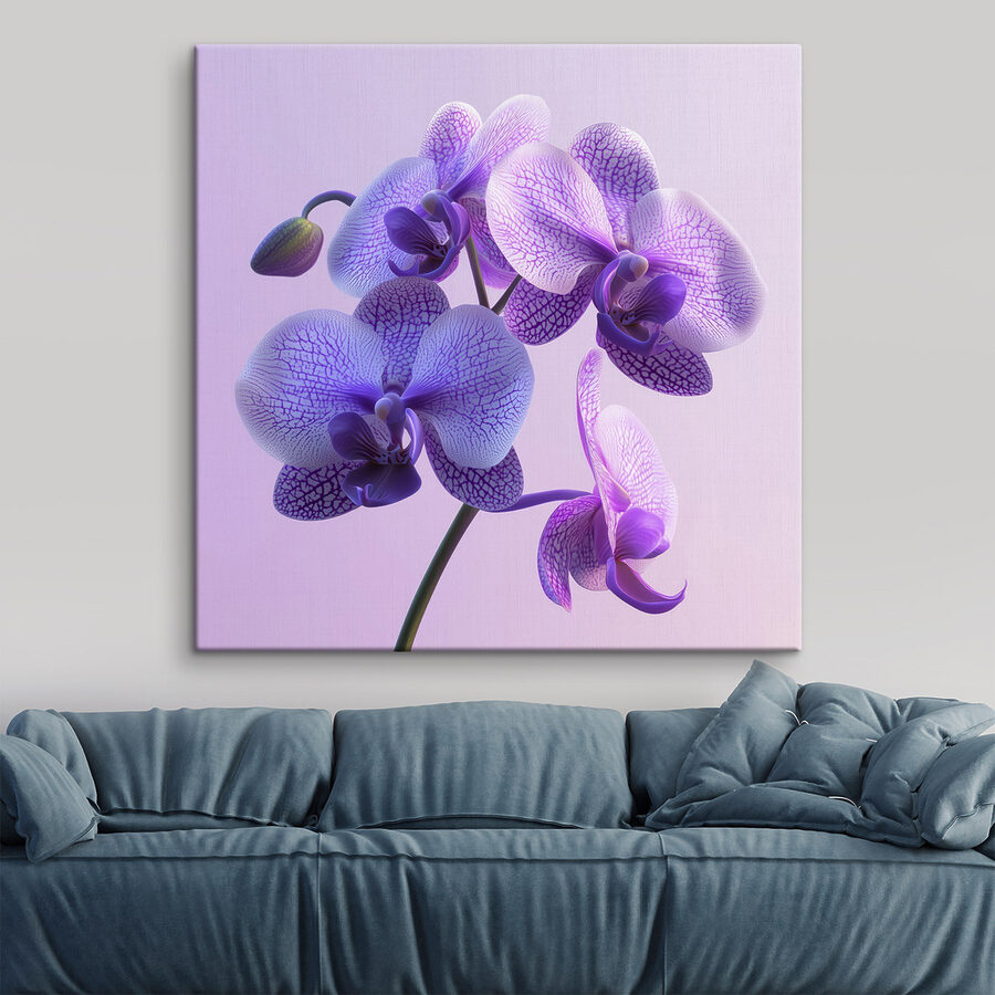 Fleur d'orchidée violette et blanche Fleur d'orchidée violette et blanche