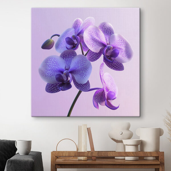 Fleur d'orchidée violette et blanche Fleur d'orchidée violette et blanche
