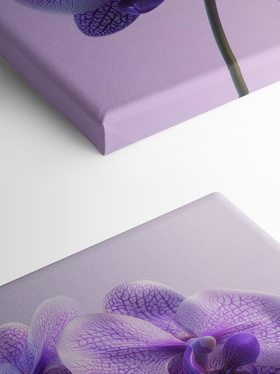 Fleur d'orchidée violette et blanche Fleur d'orchidée violette et blanche