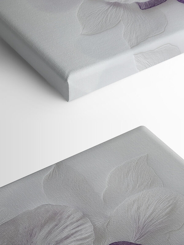Fleurs violettes et blanches sur une surface blanche Fleurs violettes et blanches sur une surface blanche