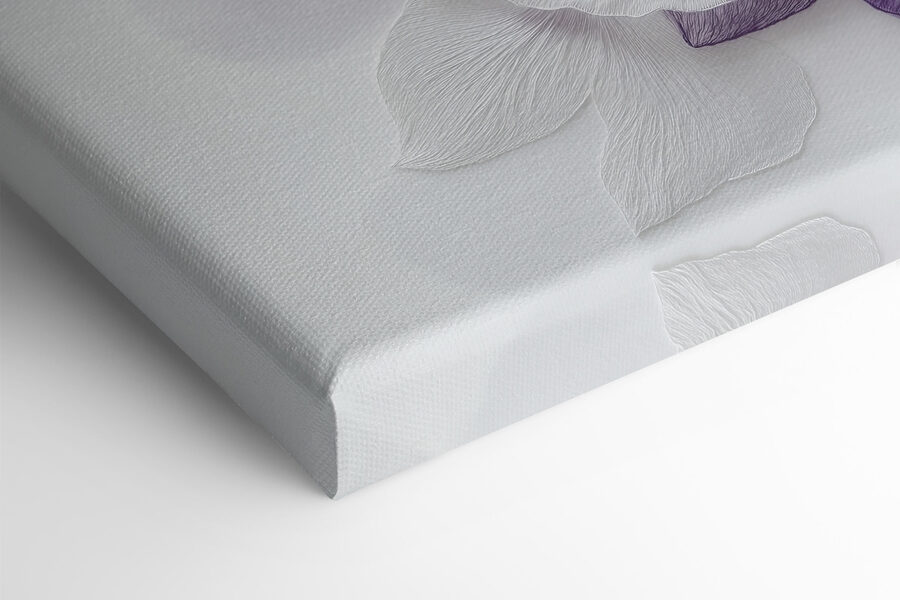 Fleurs violettes et blanches sur une surface blanche