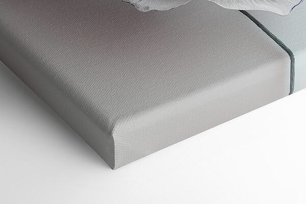 Delicate blooms in soft hues