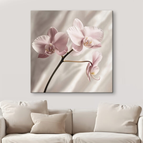 Des fleurs délicates aux teintes douces Des fleurs délicates aux teintes douces