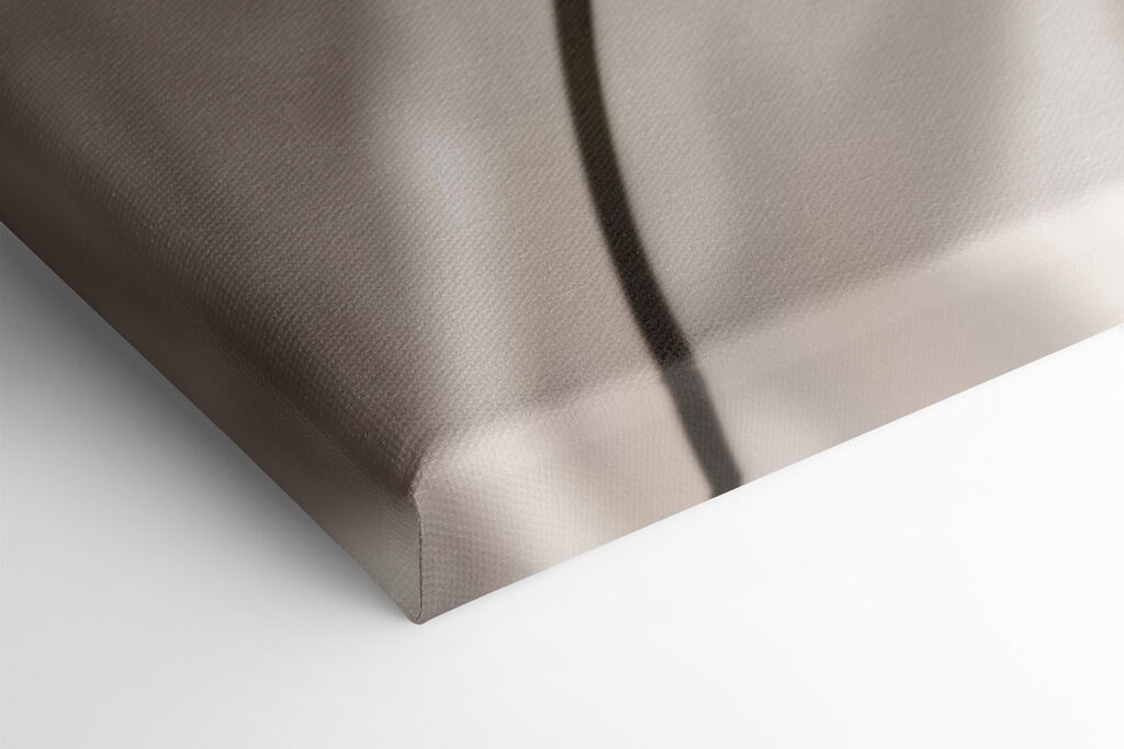 Delicate blossoms in soft hues