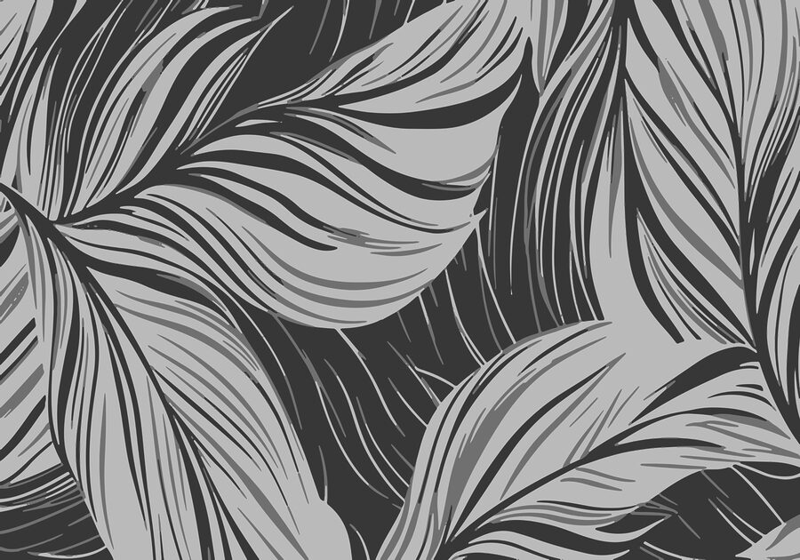 Motif des plumes