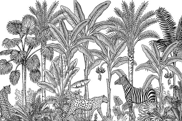 Zèbre et guépard dans la jungle Zèbre et guépard dans la jungle