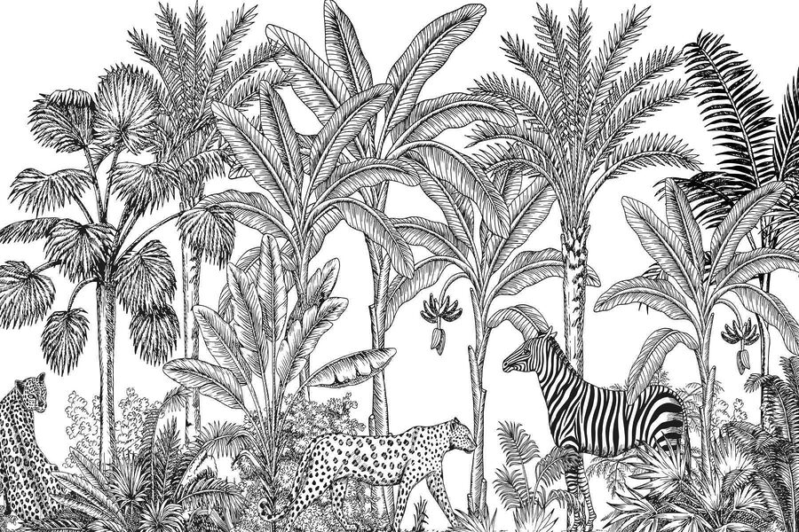 Zèbre et guépard dans la jungle