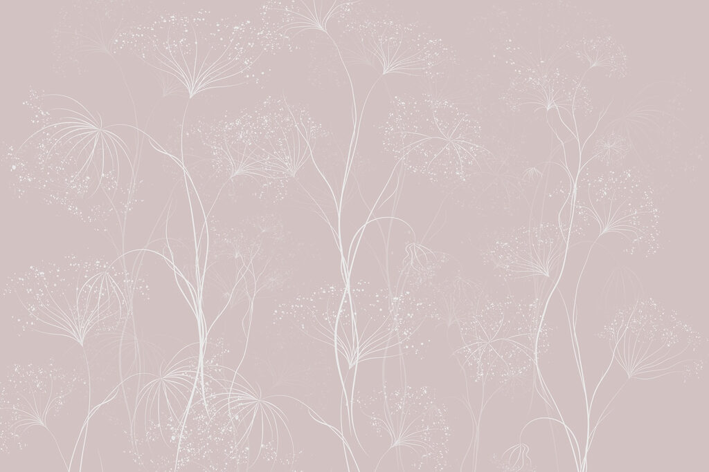 Fleurs blanches sur fond rose Fleurs blanches sur fond rose