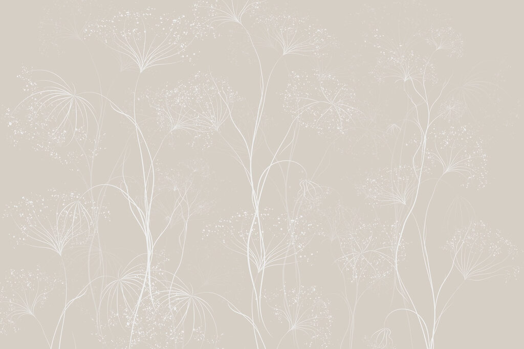 Fleurs blanches sur fond gris Fleurs blanches sur fond gris