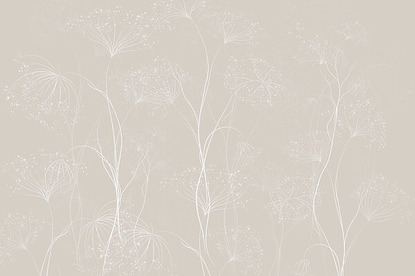 Fleurs blanches sur fond gris Fleurs blanches sur fond gris