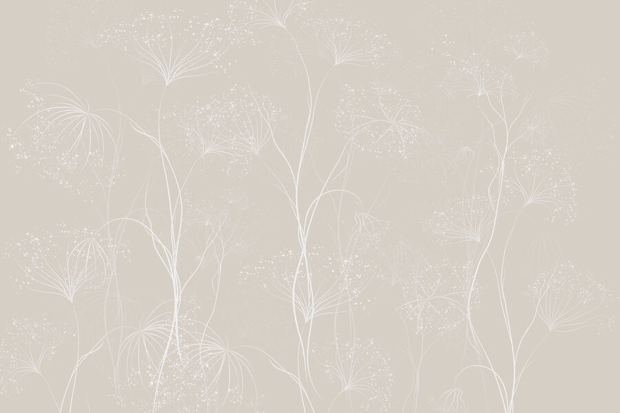 Fleurs blanches sur fond gris
