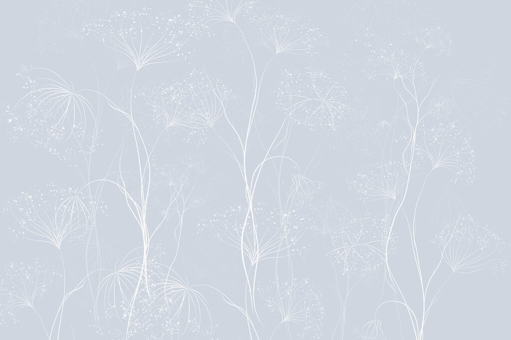 Fleurs blanches sur fond bleu Fleurs blanches sur fond bleu