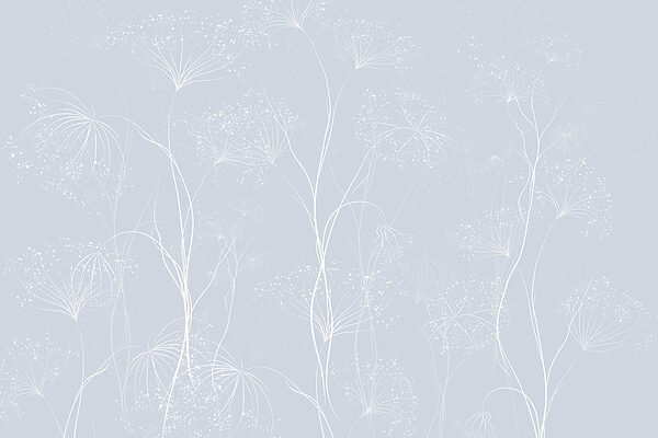 Fleurs blanches sur fond bleu Fleurs blanches sur fond bleu