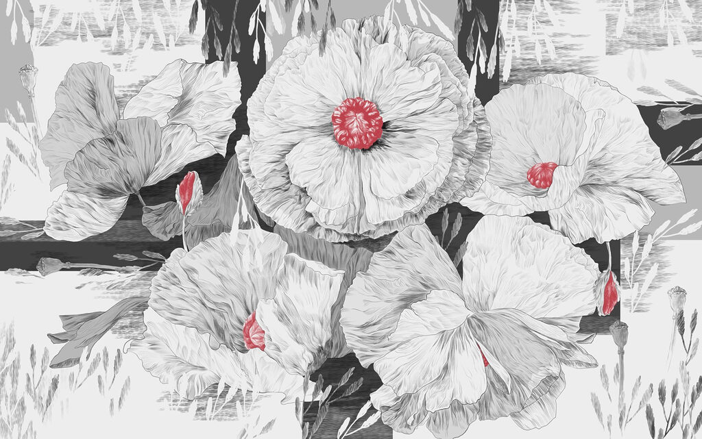 Groupe de fleurs blanches avec centre rouge Groupe de fleurs blanches avec centre rouge