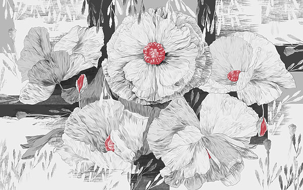 Groupe de fleurs blanches avec centre rouge Groupe de fleurs blanches avec centre rouge