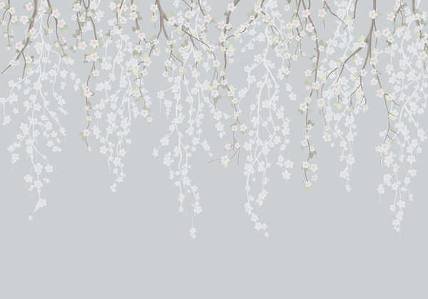 Fleurs blanches sur une branche d'arbre Fleurs blanches sur une branche d'arbre